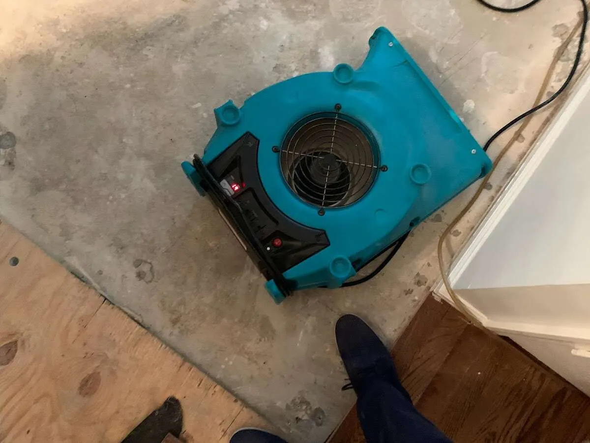 Air mover drying subfloor during Commercial Water Damage Restoration in Hernando